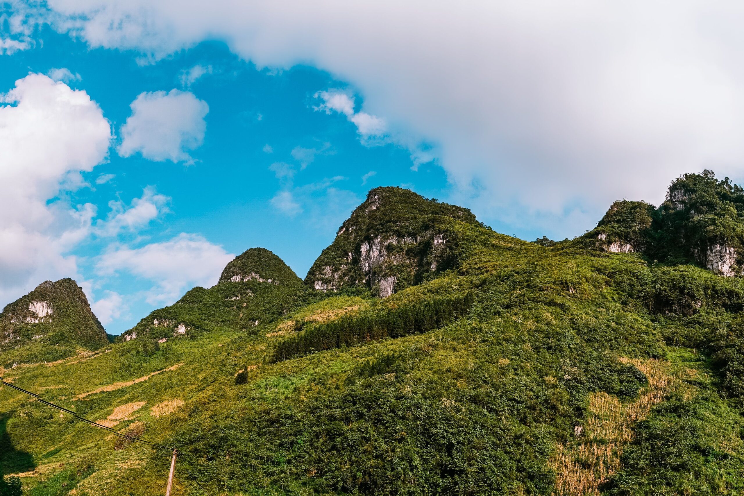 pexels-nst1001-14438336